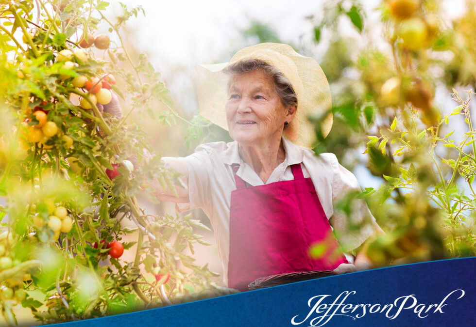 6 Health Benefits of Gardening for Seniors