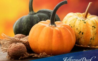 Halloween Activities for Seniors to Enjoy with Their Families