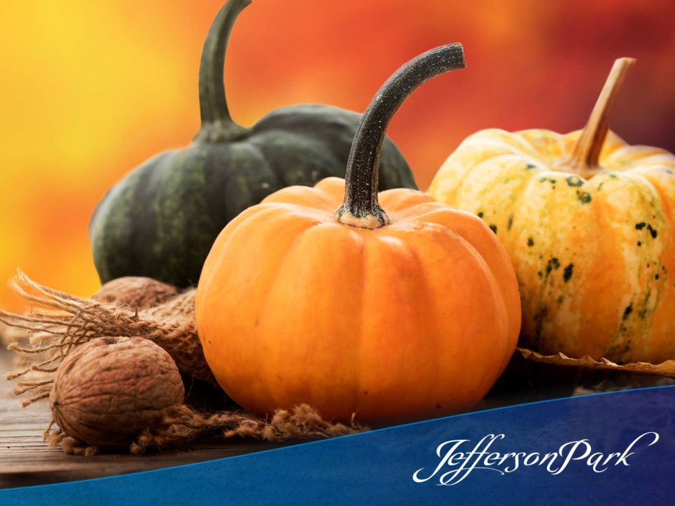 Halloween Activities For Seniors To Enjoy With Their Families